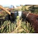 Prologic Thermo Mug  Термо чаша
