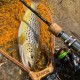 Tailwalk Keison Stream Net M Кеп