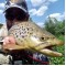 Savage Gear Savage2 Floating Polarized Sunglasses Слънчеви очила