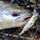 Savage Gear 3D Sticklebait Twitch 4.5cm 4g Воблер