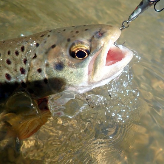 Savage Gear 3D Sticklebait Twitch 5.5cm 7g Воблер