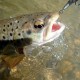 Savage Gear 3D Sticklebait Twitch 5.5cm 7g Воблер