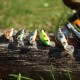Savage Gear 3D Sticklebait Twitch 6.5cm 9.4g Воблер Savage Gear 3D Sticklebait Twitch 6.5cm 9.4g Воблер