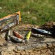 Savage Gear 3D Sticklebait Twitch 6.5cm 9.4g Воблер Savage Gear 3D Sticklebait Twitch 6.5cm 9.4g Воблер