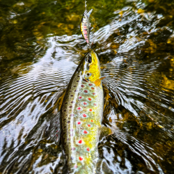 Bassday Mononofu 35S Воблер Bassday Mononofu 35S Воблер