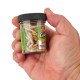 Berkley Gulp! Alive! Waxies Силиконови ларви Berkley Gulp! Alive! Waxies Силиконови ларви
