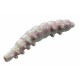 Berkley Powerbait Sparkle Honey Worm Силиконови ларви Berkley Powerbait Sparkle Honey Worm Силиконови ларви