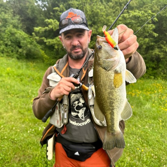 Fiiish Black Minnow No2 Combo 9 cm, 10g Силиконова примамка Fiiish Black Minnow No2 Combo 9 cm, 10g Силиконова примамка