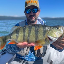 Fiiish Black Minnow No1 Double Combo - 7 cm, 4.5 g Силиконова примамка
