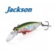 Jackson Resist 45mm Воблер