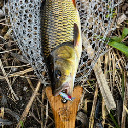 Last Cast CC28S Воблер, потъващ