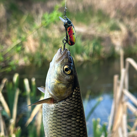 Last Cast CC28F Воблер, плуващ