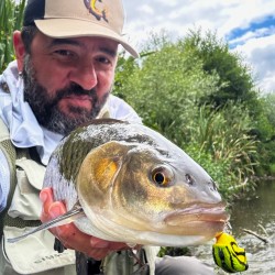 Last Cast JaBug 26 S Воблер, ЖаБъг, Жабък Last Cast JaBug 26 S Воблер, ЖаБъг, Жабък
