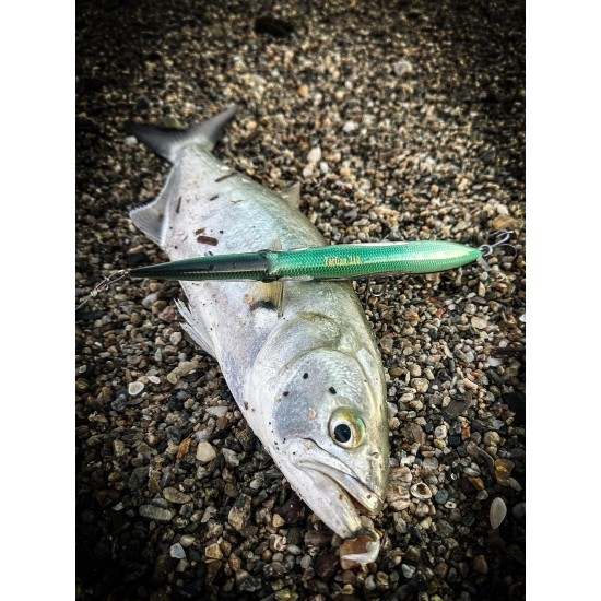 Last Cast ZarGan 210mm Повърхностна примамка Last Cast ZarGan 210mm Повърхностна примамка