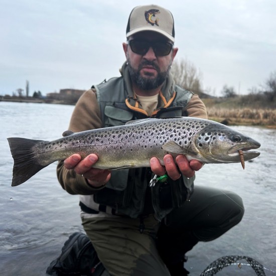 Linkor Lures Jakon 65mm Силиконов червей Linkor Lures Jakon 65mm Силиконов червей