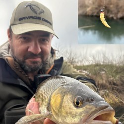 Linkor Lures Trout Classic Kamola 30mm Силиконова камола Linkor Lures Trout Classic Kamola 30mm Силиконова камола