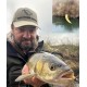 Linkor Lures Trout Classic Kamola 30mm Силиконова камола Linkor Lures Trout Classic Kamola 30mm Силиконова камола