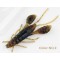 Lurefans Mini Force Craw Силиконова примамка
