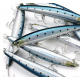 Lucky Craft Flash Minnow 110 Heavy Weight Воблер Lucky Craft Flash Minnow 110 Heavy Weight Воблер