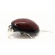 Lucky Craft Gengoal 35S Воблер