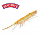 MagBite MBW06 Snatch Bite Shrimp 4.0 / 10.16cm Изкуствена примамка скарида MagBite MBW06 Snatch Bite Shrimp 4.0 / 10.16cm Изкуствена примамка скарида