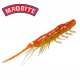 MagBite MBW06 Snatch Bite Shrimp 4.0 / 10.16cm Изкуствена примамка скарида MagBite MBW06 Snatch Bite Shrimp 4.0 / 10.16cm Изкуствена примамка скарида