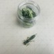 Elie bug BIG Силиконова примамка Elie bug BIG Силиконова примамка