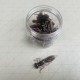 Elie bug BIG Силиконова примамка Elie bug BIG Силиконова примамка