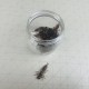 Elie bug SMALL Силиконова примамка Elie bug SMALL Силиконова примамка
