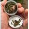 Gammarus P.L. Softbaits силиконов гамарус 