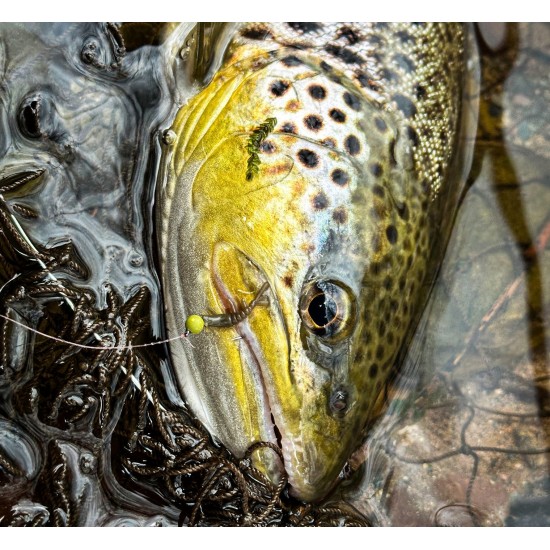Gammarus P.L. Softbaits силиконов гамарус 