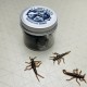 Killer Bug v1 Силиконова примамка Killer Bug v1 Силиконова примамка