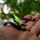 Reins Ajiringer Jig Head Джиг глава