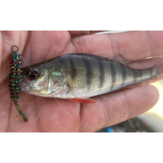 Reins Aji Ringer 1.5 / 3.81 cm Силиконова примамка Reins Aji Ringer 1.5 / 3.81 cm Силиконова примамка