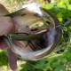Reins Heavy Reins Swamp 4.0 / 10.16cm Силиконова примамка