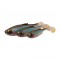 Savage Gear Craft Shad 8.8cm Силиконова примамка 
