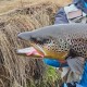 Viral Lures 60 mm Силиконов червей Viral Lures 60 mm Силиконов червей