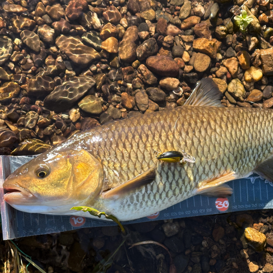 Zip Baits Hickory MDR 34mm Воблер