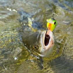 Zip Baits Hickory SSR 34mm Воблер