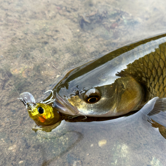 Zip Baits Rigge 35F Воблер Zip Baits Rigge 35F Воблер