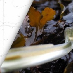 Fiiish Black Eel No3 Combo - 15cm, 20g Силиконова примамка