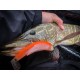 Fiiish Black Minnow No5 Combo - 16cm, 60g Силиконова примамка Fiiish Black Minnow No5 Combo - 16cm, 60g Силиконова примамка