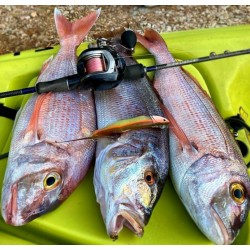Fiiish Black Minnow No6 Combo - 20cm, 120g Силиконова примамка Fiiish Black Minnow No6 Combo - 20cm, 120g Силиконова примамка