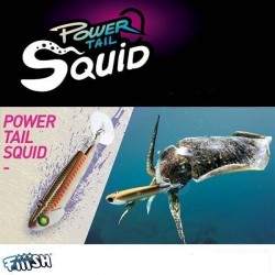 Fiiish Power Tail Squid Fiiish Power Tail Squid