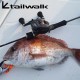Tailwalk Taigame DGN 63 Мултипликатор Tailwalk Taigame DGN 63 Мултипликатор