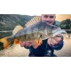 Fiiish Black Minnow No3 Double Combo - 12 cm, 18g Силиконова примамка Fiiish Black Minnow No3 Double Combo - 12 cm, 18g Силиконова примамка