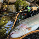 Last Cast Stream Cast S62L 1.88m, 1-8g Спининг въдица Last Cast Stream Cast S62L 1.88m, 1-8g Спининг въдица
