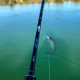Last Cast Uni Cast S76M 2.28 m, 5-28 g Спининг въдица Last Cast Uni Cast S76M 2.28 m, 5-28 g Спининг въдица