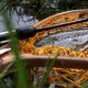 Ron Thompson Trout and Perch Stick Спининг въдица