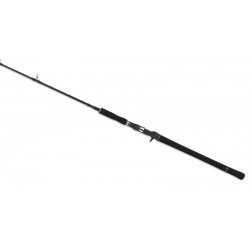 Tailwalk JigForce SSD Джигинг въдица Tailwalk JigForce SSD Джигинг въдица